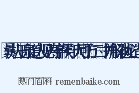 曩从玉泉道人见寿亭侯印大可方二寸并解池龙造句是什么意思的图片